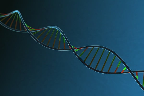 Gene Therapy for Color Blindness