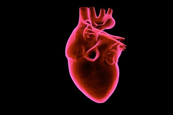 Ventricular Septal Defect (Hole in the Heart) in Adults