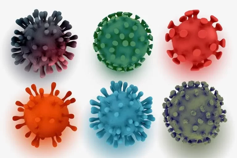 Structure, Size and Comparison of Coronavirus Genome