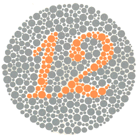 Ishihara Color Blindness Test Plate 1