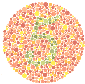 Ishihara Color Blindness Test Plate 10