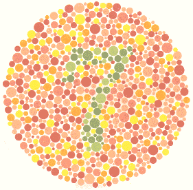 Ishihara Color Blindness Test Plate 11