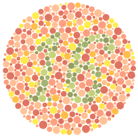 Ishihara Color Blindness Test Plate 12