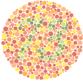 Ishihara Color Blindness Test Plate 13