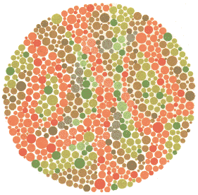 Ishihara Color Blindness Test Plate 14