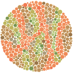 Ishihara Color Blindness Test Plate 15