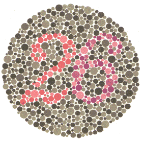 Ishihara Color Blindness Test Plate 16