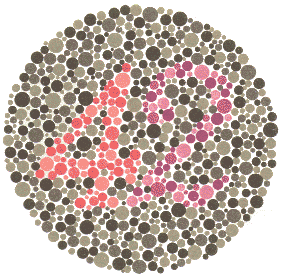 Ishihara Color Blindness Test Plate 17