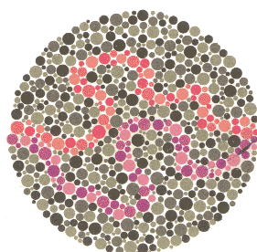 Ishihara Color Blindness Test Plate 18