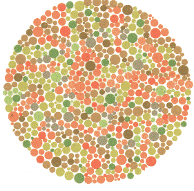 Ishihara Color Blindness Test Plate 19