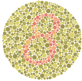 Ishihara Color Blindness Test Plate 2