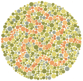Ishihara Color Blindness Test Plate 21