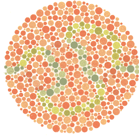Ishihara Color Blindness Test Plate 22