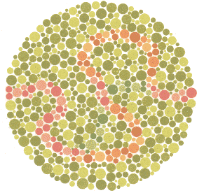 Ishihara Color Blindness Test Plate 23