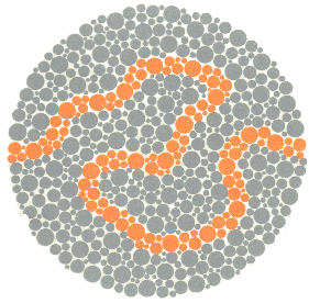 Ishihara Color Blindness Test Plate 24