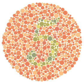Ishihara Color Blindness Test Plate 4