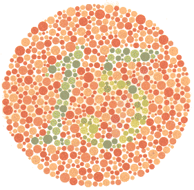 Ishihara Color Blindness Test Plate 6