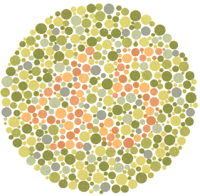 Ishihara Color Blindness Test Plate 9