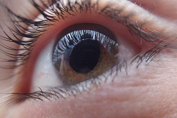 Retina of Human Eye