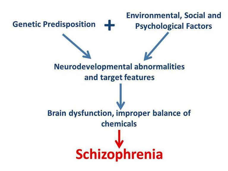 Causes of schizophrenia