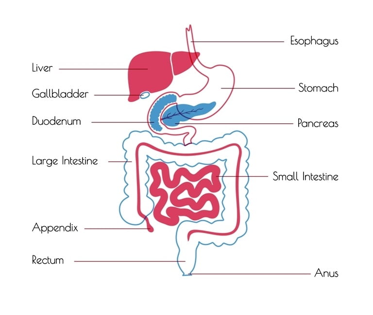 blockage-of-urine-in-children-treatment-diagnosis-complications