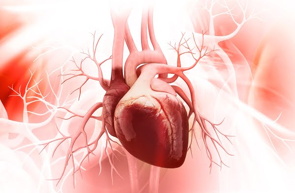 Causes of Pericardial Effusion