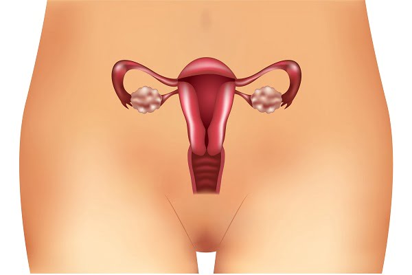 How Do You Get Cervical Cancer?