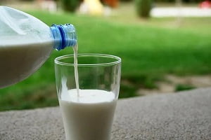 Risks of Raw Milk Food Poisoning
