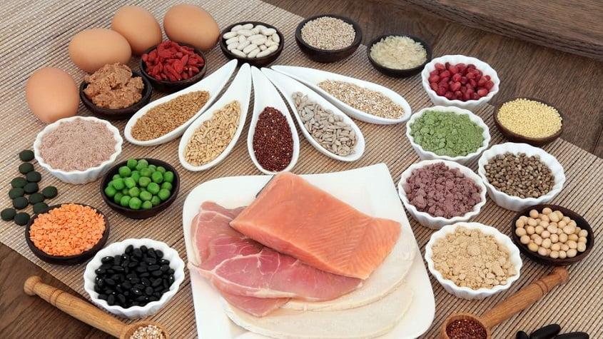 Protein rich foods