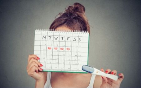 Ovulation and Fertility: How to Increase Your Chances of Conceiving Ovulation and Fertility