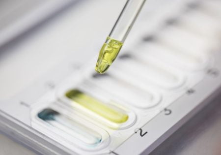 Ovulation Predictor Kits: How They Work and Which Ones to Use Ovulation Predictor Kits