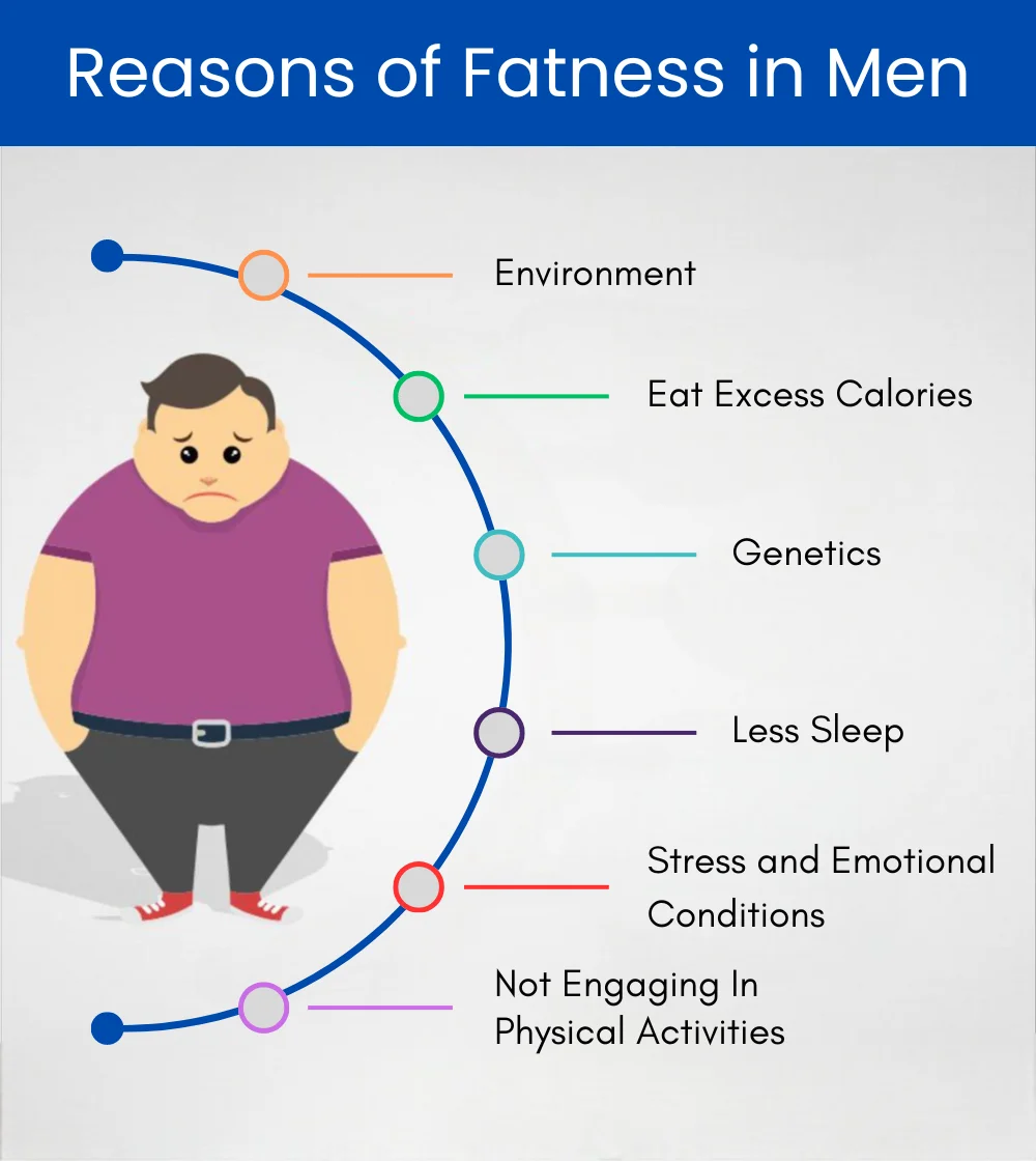 Men Fatness Reasons