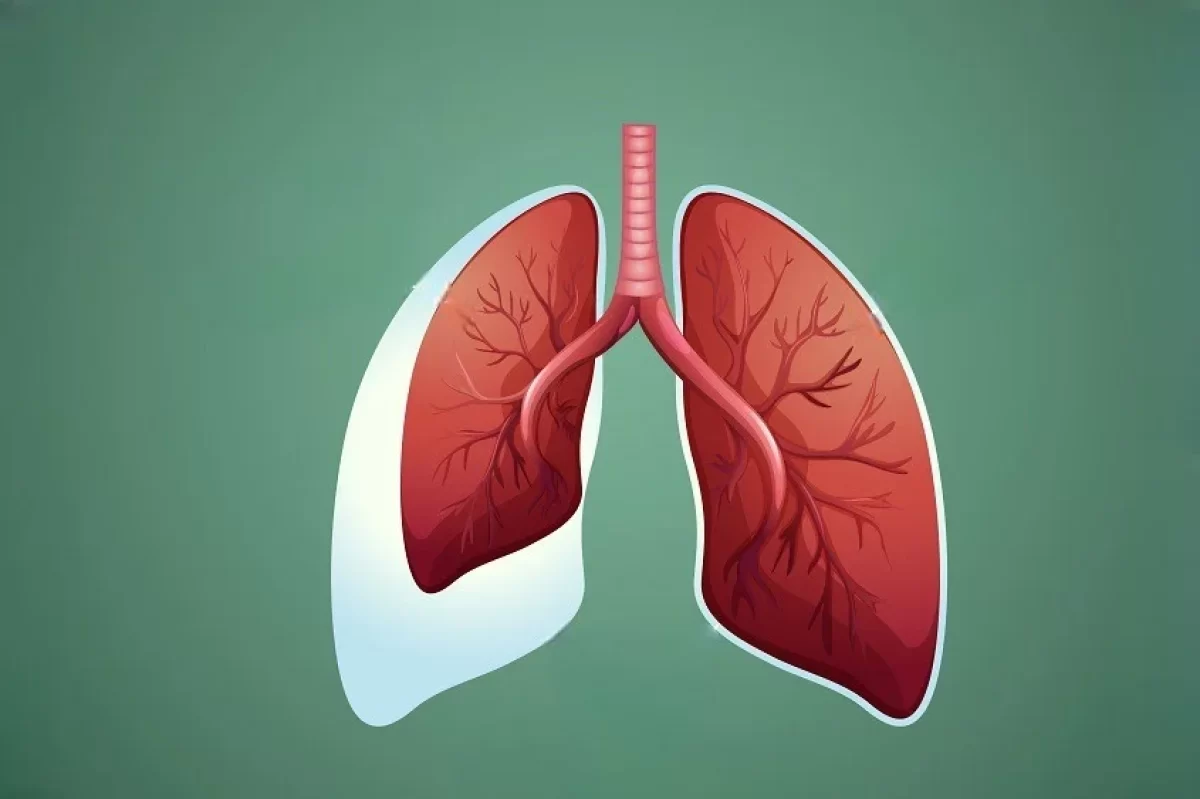 icd-of-lungs-cheapest-shop-gbu-taganskij-ru