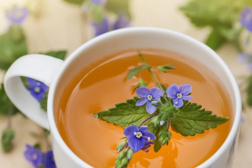 Best Tea for Gut Health