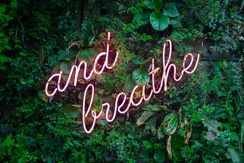 psychology-wellness-belief-health