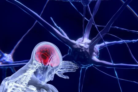 Key 9-Me-BC Research Insights for Dopaminergic Neuron Health 9-Me-BC research