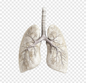 Improving Quality of Life for Patients With COPD copd-quality-of-life