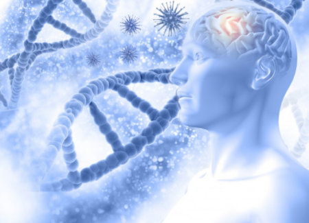 The Gut-Brain Connection: How Your Gut Shapes Your Mood Gut-Brain Connection: Why Your Gut Controls Your Mood